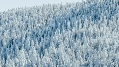 Video: Launch Quick Shop