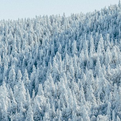 Yamaha Music Europe GmbH