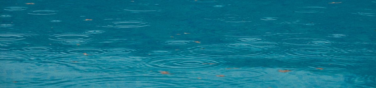 TYPO3 GRÜNE: Header-Grafik für Theme Persönlich